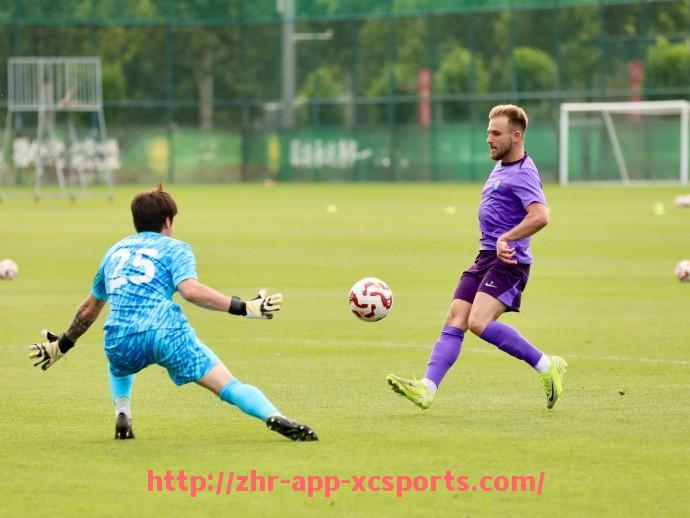 杏彩体育-德甲联赛中最富有的几支球队及其背后财团解析