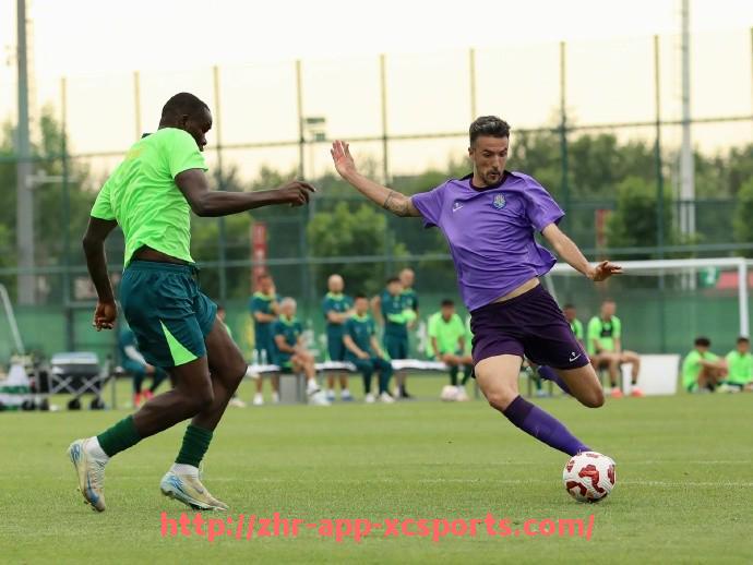 杏彩体育-世俱杯商业合作流程监控机制建设与优化路径探索